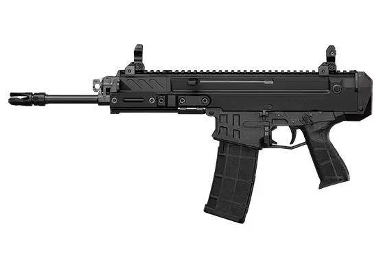 CZ BREN 2 MS PISTOL 5.56 11" BLACK FIP UP SIGHTS 2-30RD MAGS